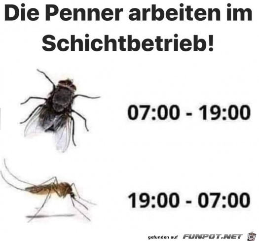 Die Penner