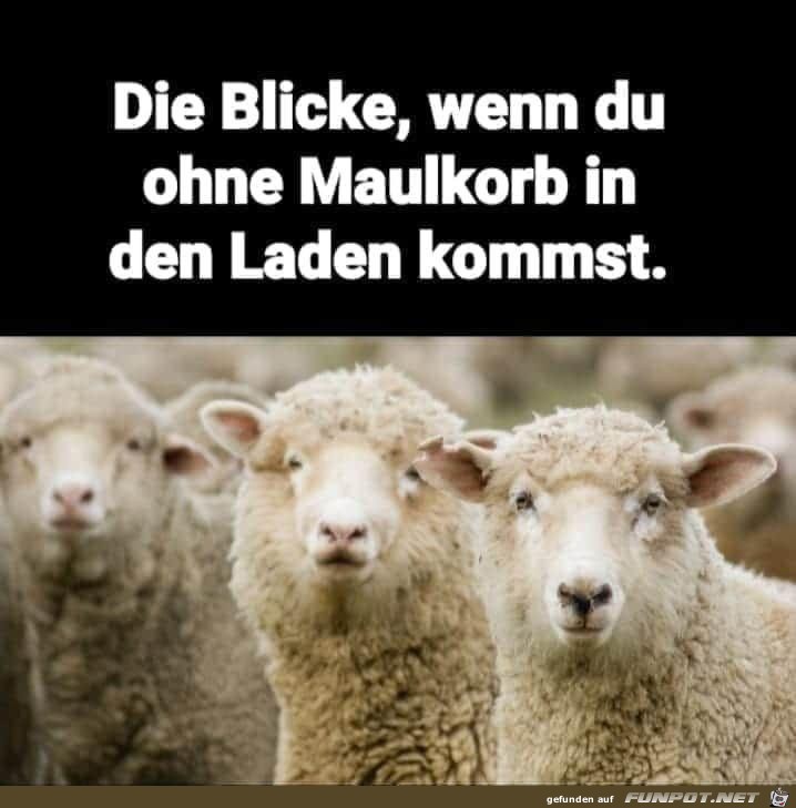 Ohne Worte