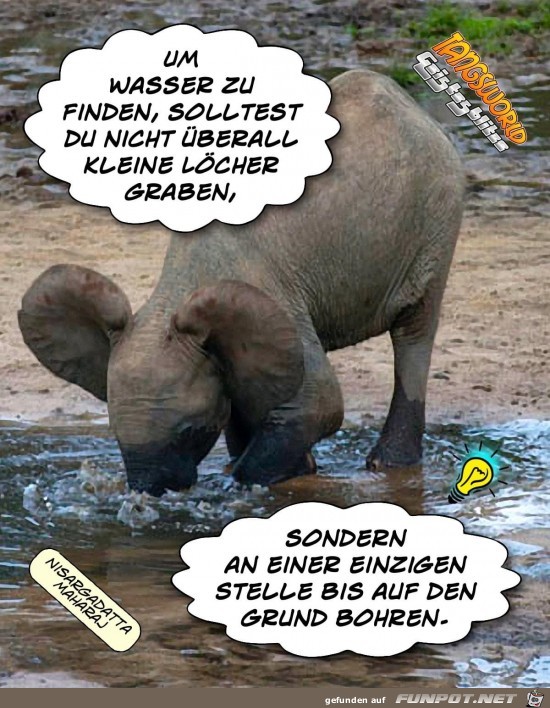 um wasser zu finden