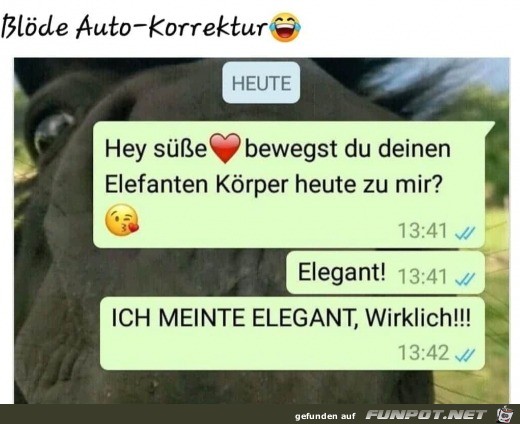 Diese blde Autokorrektur