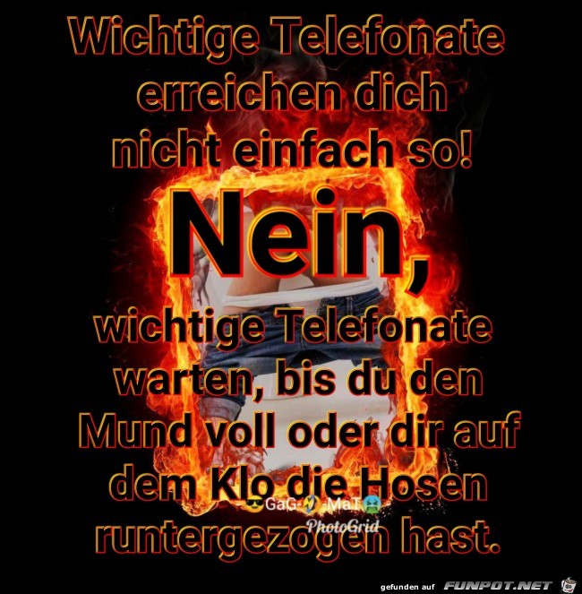 Immer Immer