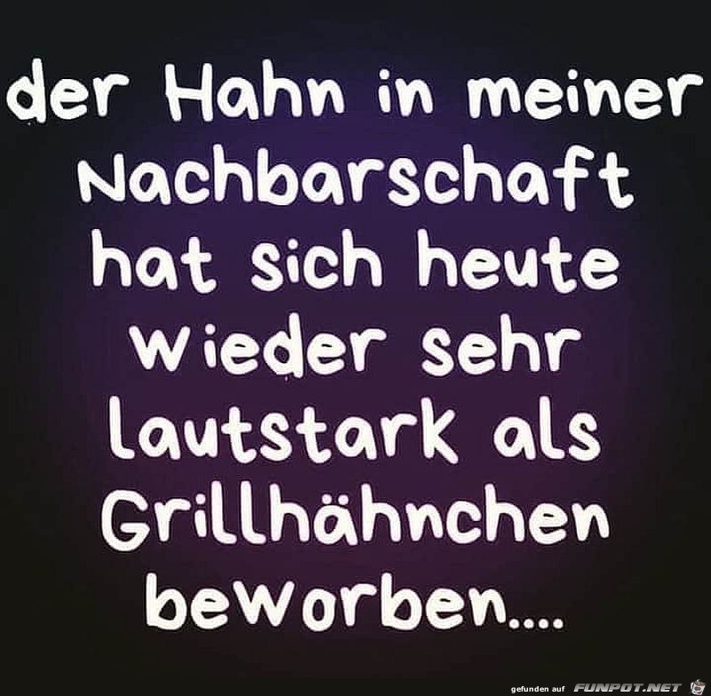 Der laute Hahn Der laute Hahn
