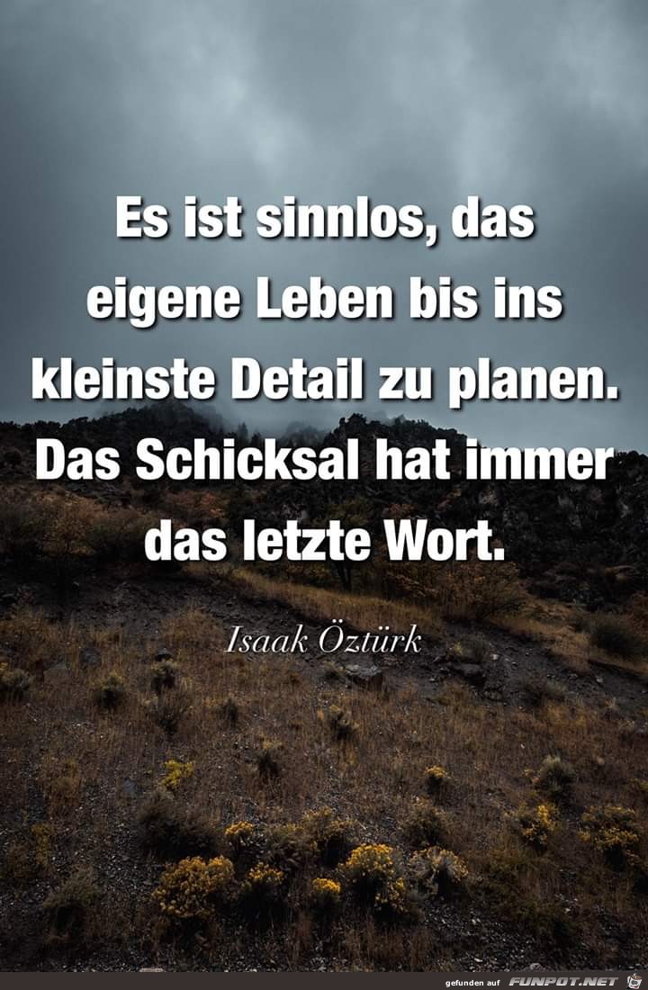 Das letzte Wort