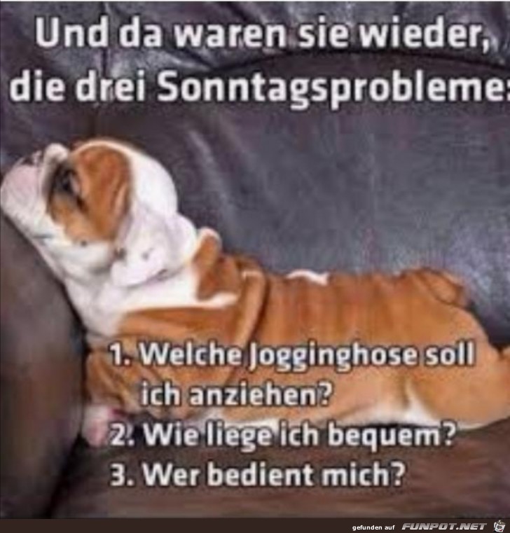 Probleme