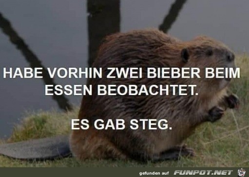 Bieber beim Essen