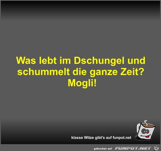 Was lebt im Dschungel und schummelt die ganze Zeit?