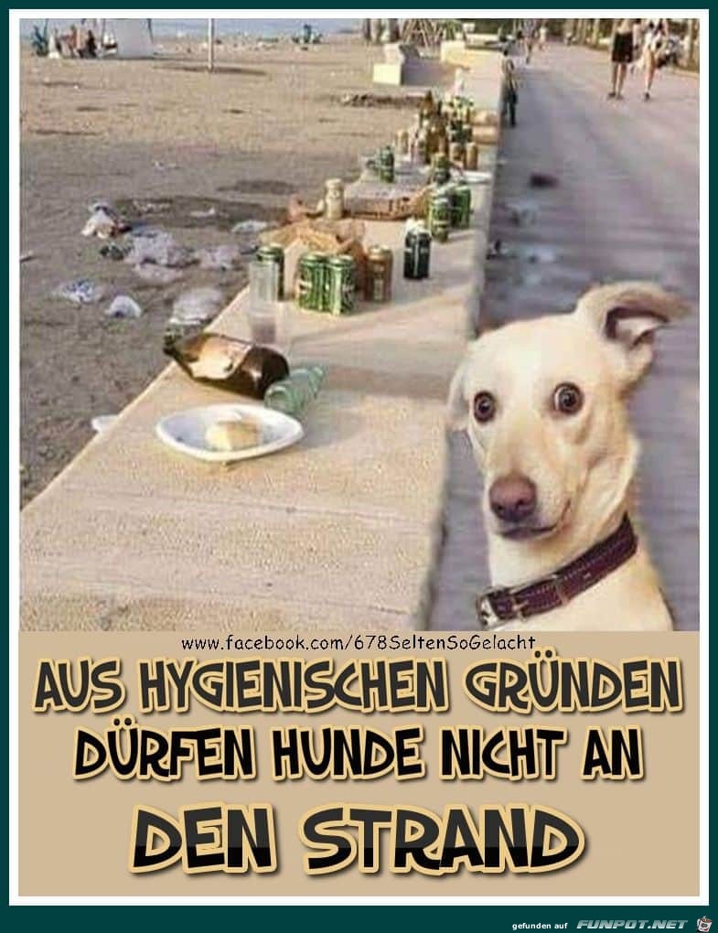 Hundeverbot