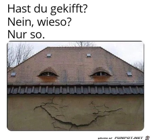 Hast Du gekifft Hast Du gekifft