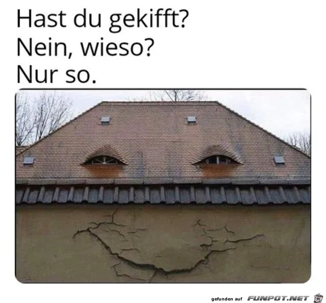 Hast Du gekifft