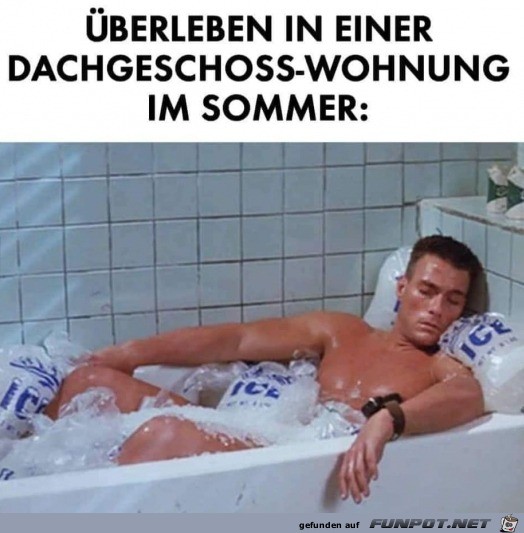 Sommer im Dachgeschoss