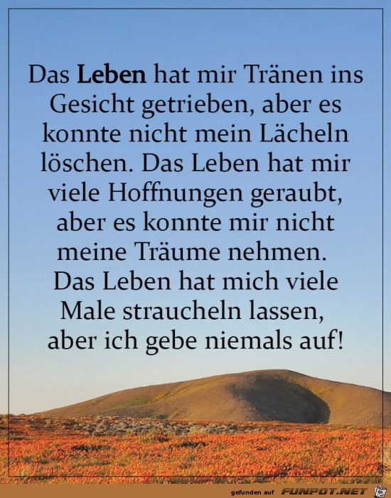 Das Leben