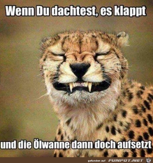 Die lwanne ist leider doch aufgesessen