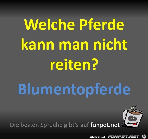 Welche Pferde kann man nicht reiten?