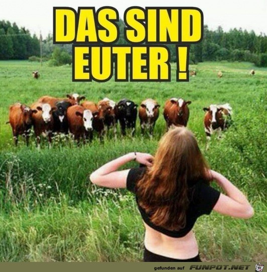 Das sind Euter