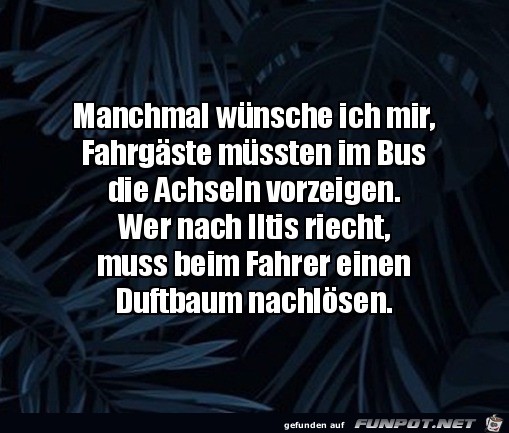 lustiger Spruch: 'Duftbaum nachlösen