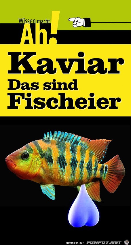 Kaviar