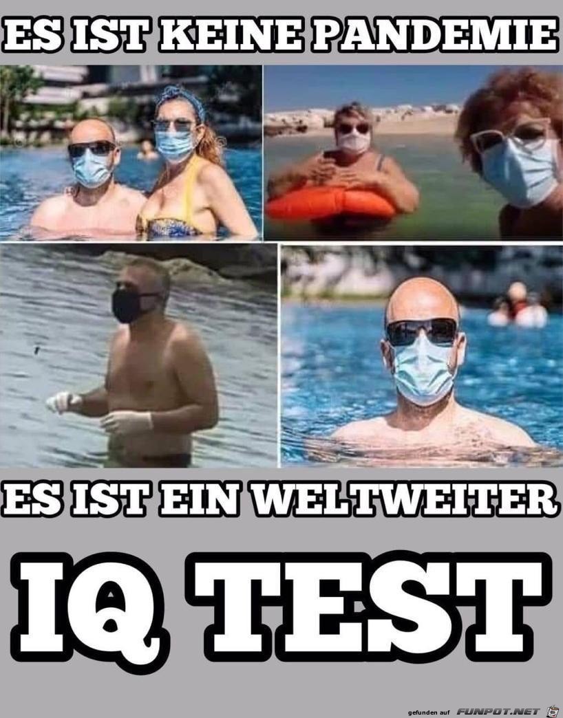 ein weltweiter IQ-Test