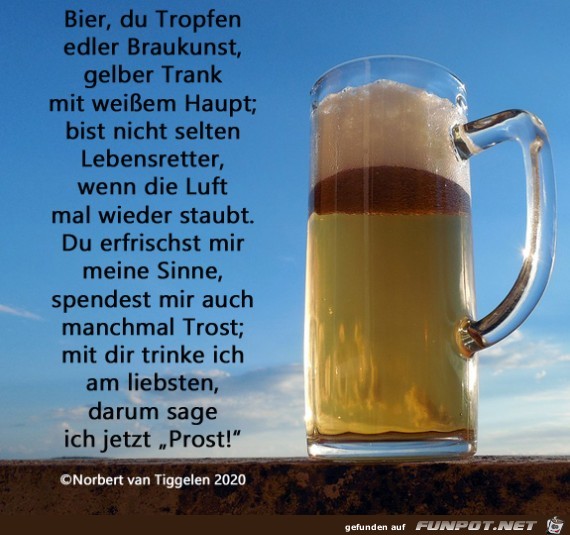 Bier 