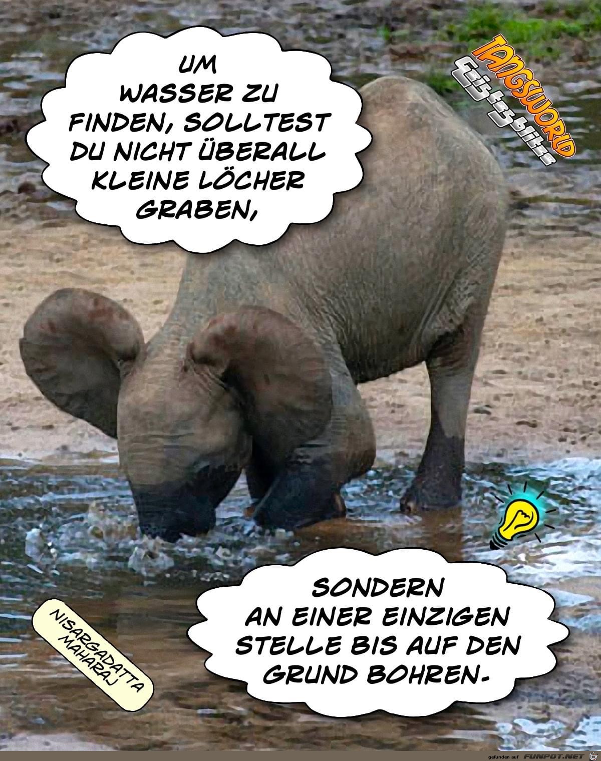 um wasser zu finden