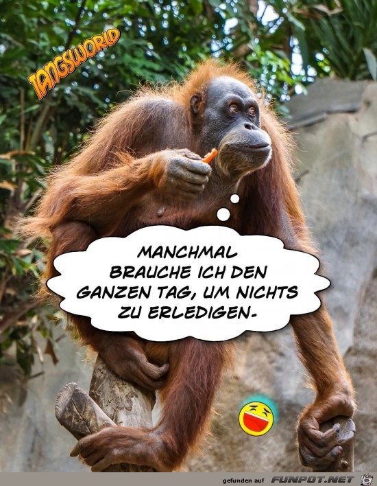 manchmal brauche ich manchmal brauche ich