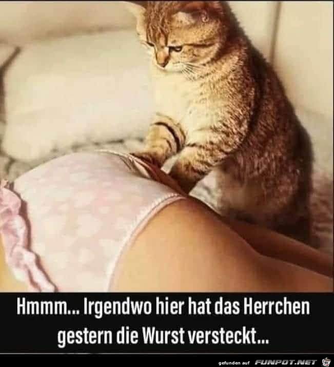 Irgendwo...