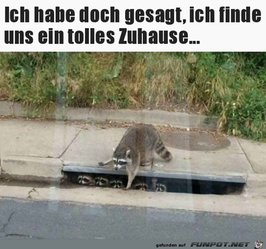 Tolles neues Zuhause