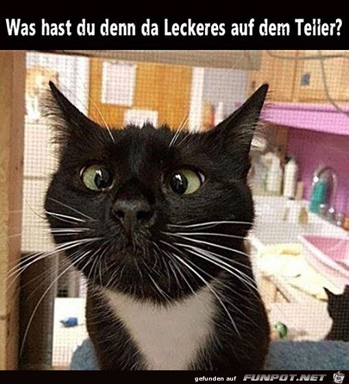 Was hast du da Leckeres?