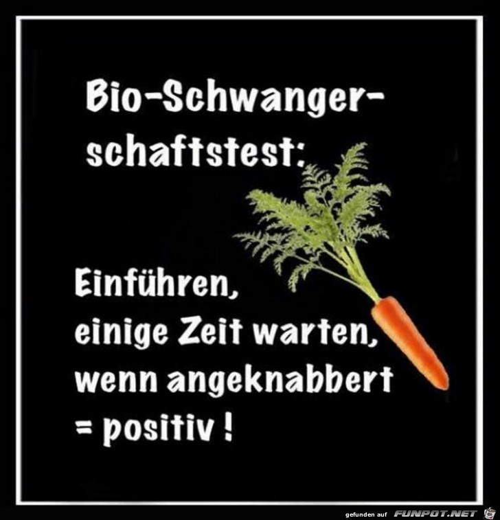 Bio - Schwangerschaftstest