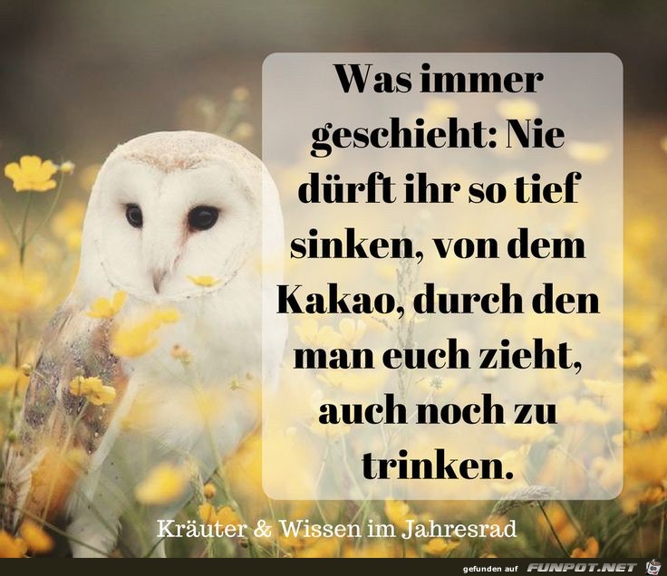 was immer geschieht