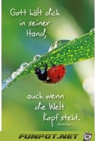 gott haelt dich