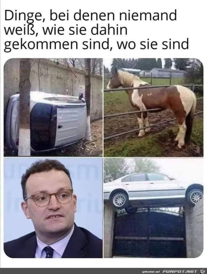 wie kommen die da hin?!