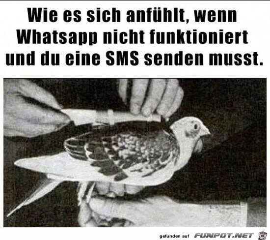 Wenn Whatsapp nicht funktioniert