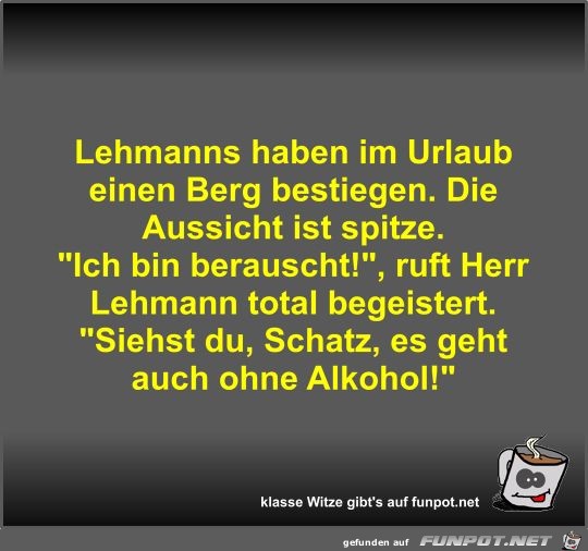 Lehmanns haben im Urlaub einen Berg bestiegen