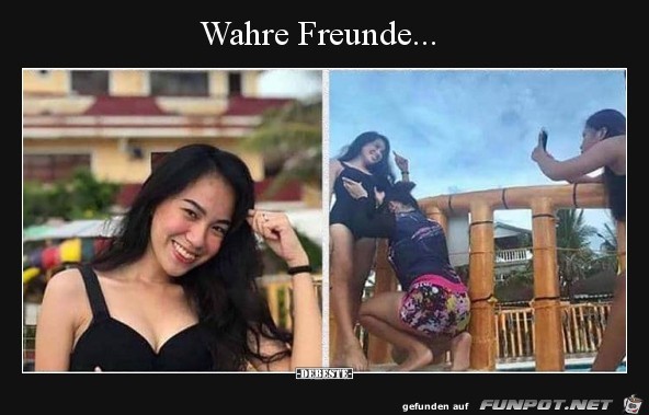 Wahre Freunde