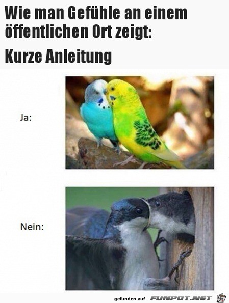 Kurze Anleitung