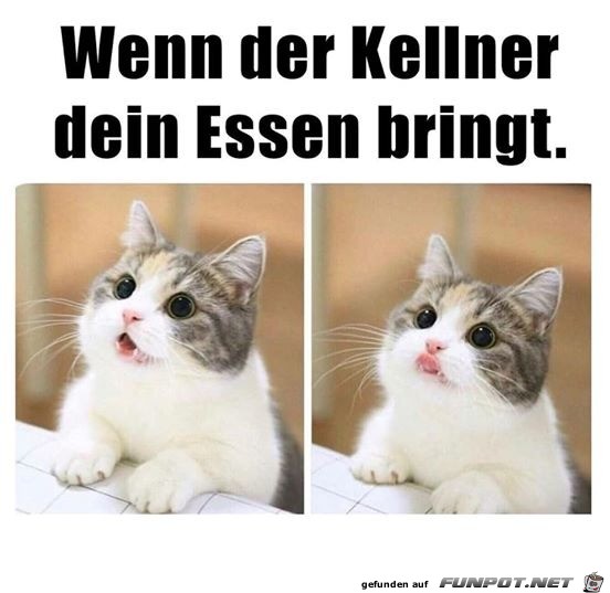 Wenn dein Essen kommt