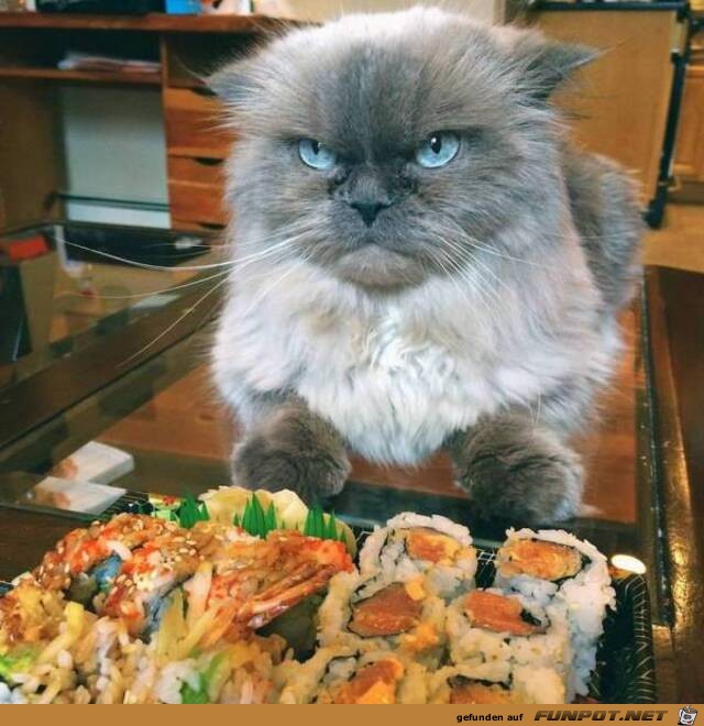 Das ist mein Sushi#