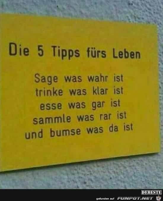 5 Tipps