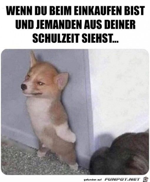 Wenn du jemanden aus der Schulzeit triffst