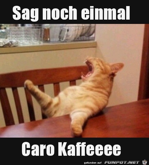 Sag noch einmal Caro Kaffee