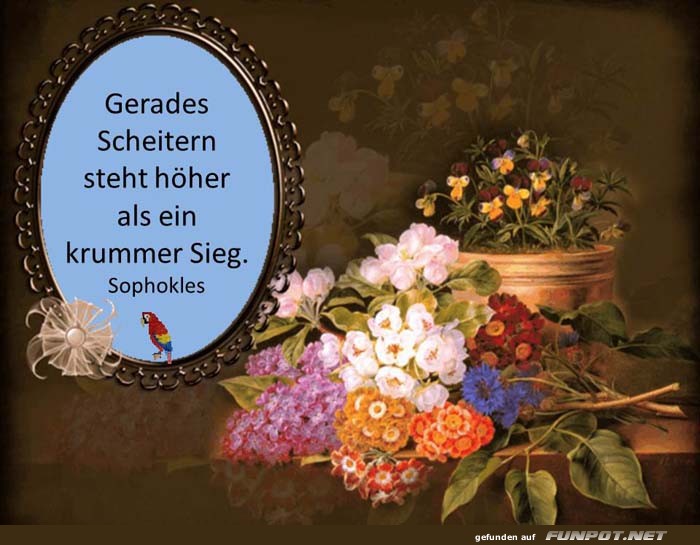 Gerades Scheitern Gerades Scheitern