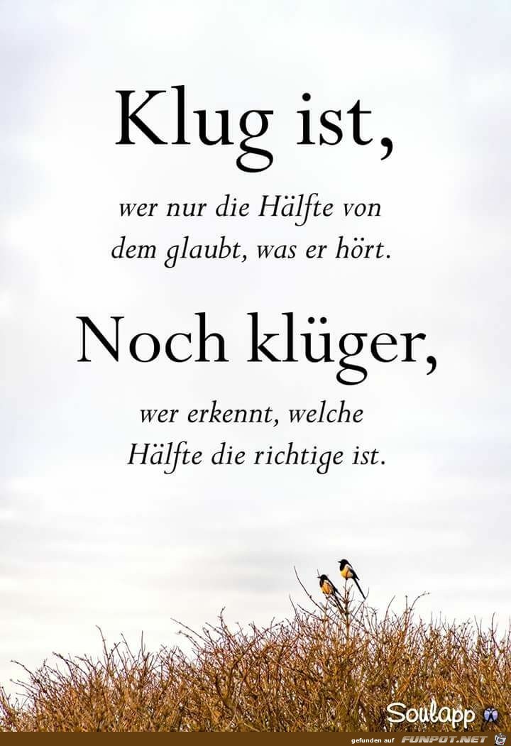 Klug ist...