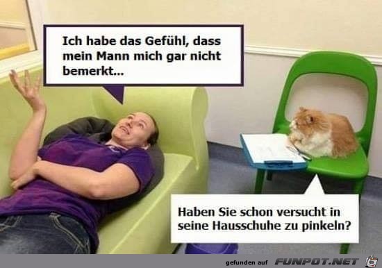 Katze bert Frau