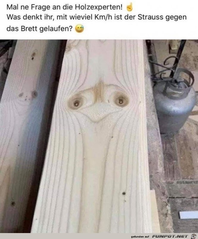 Mal ne Frage an die Holzexperten....