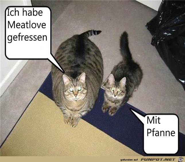 Mit Pfanne gefressen