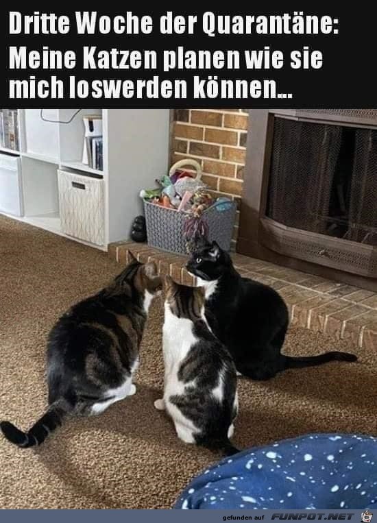 Wie werden wir das Frauchen los