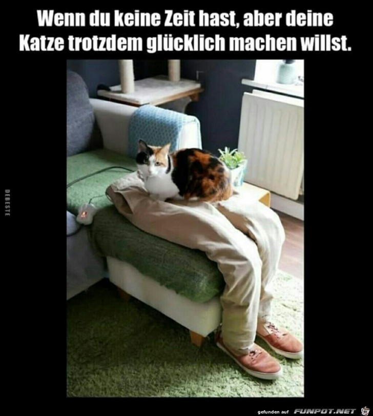 Wenn du keine Zeit hast