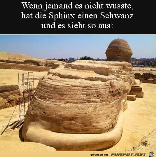 Der Schwanz der Sphinx