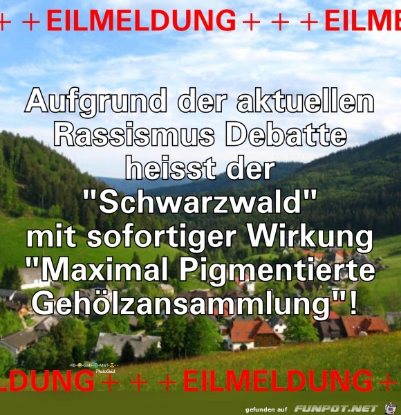 Schwarzwald Matters