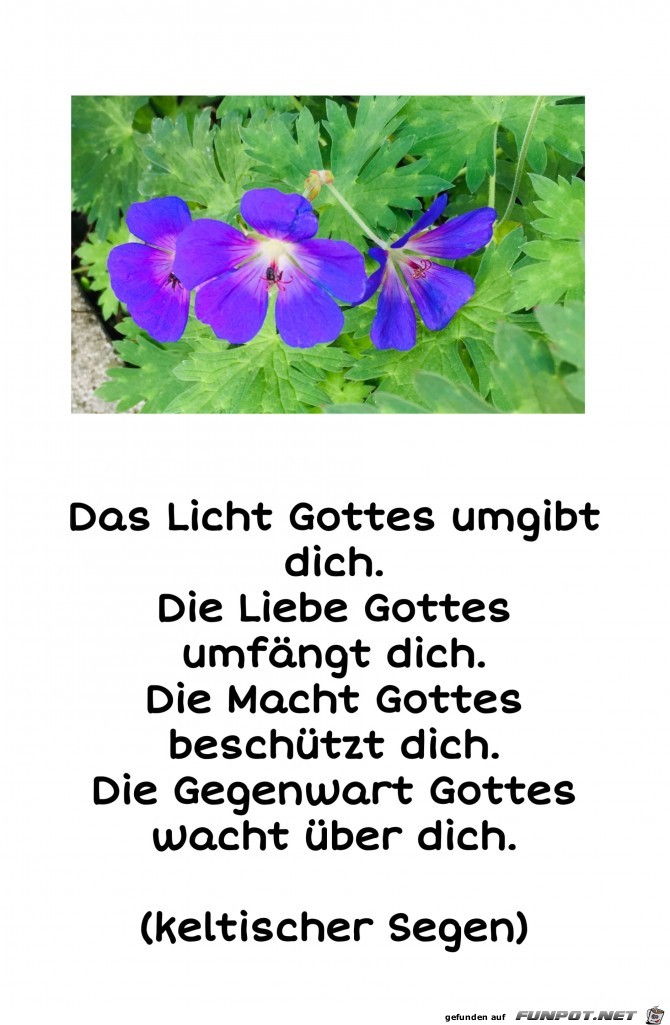 das Licht gottes